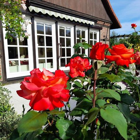 Ferienhaus Gartower See Екстер'єр фото