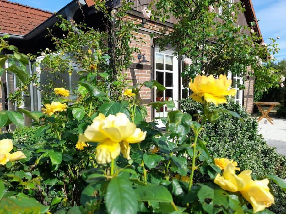 Ferienhaus Gartower See Екстер'єр фото